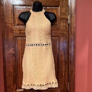 NWT Crochet Sheath Mini Dress
